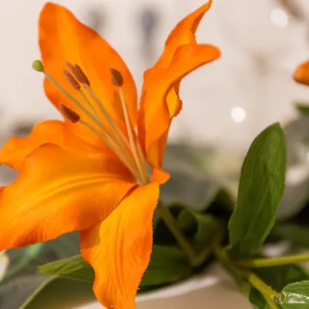 Romantikferienhaus Am Braendle *