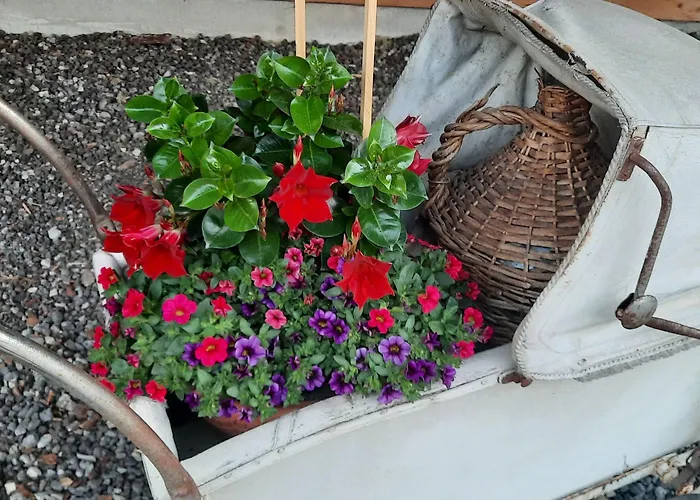 Romantikferienhaus Am Braendle Nesselwängle