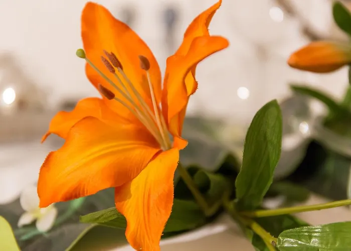 Romantikferienhaus Am Braendle *